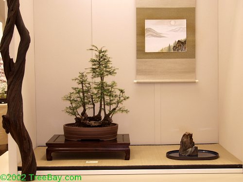 sm_20020421Kusamura 099_adj.jpg
